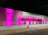 Câmara Municipal de Parintins adere ao Outubro Rosa na luta contra o Câncer de Mama