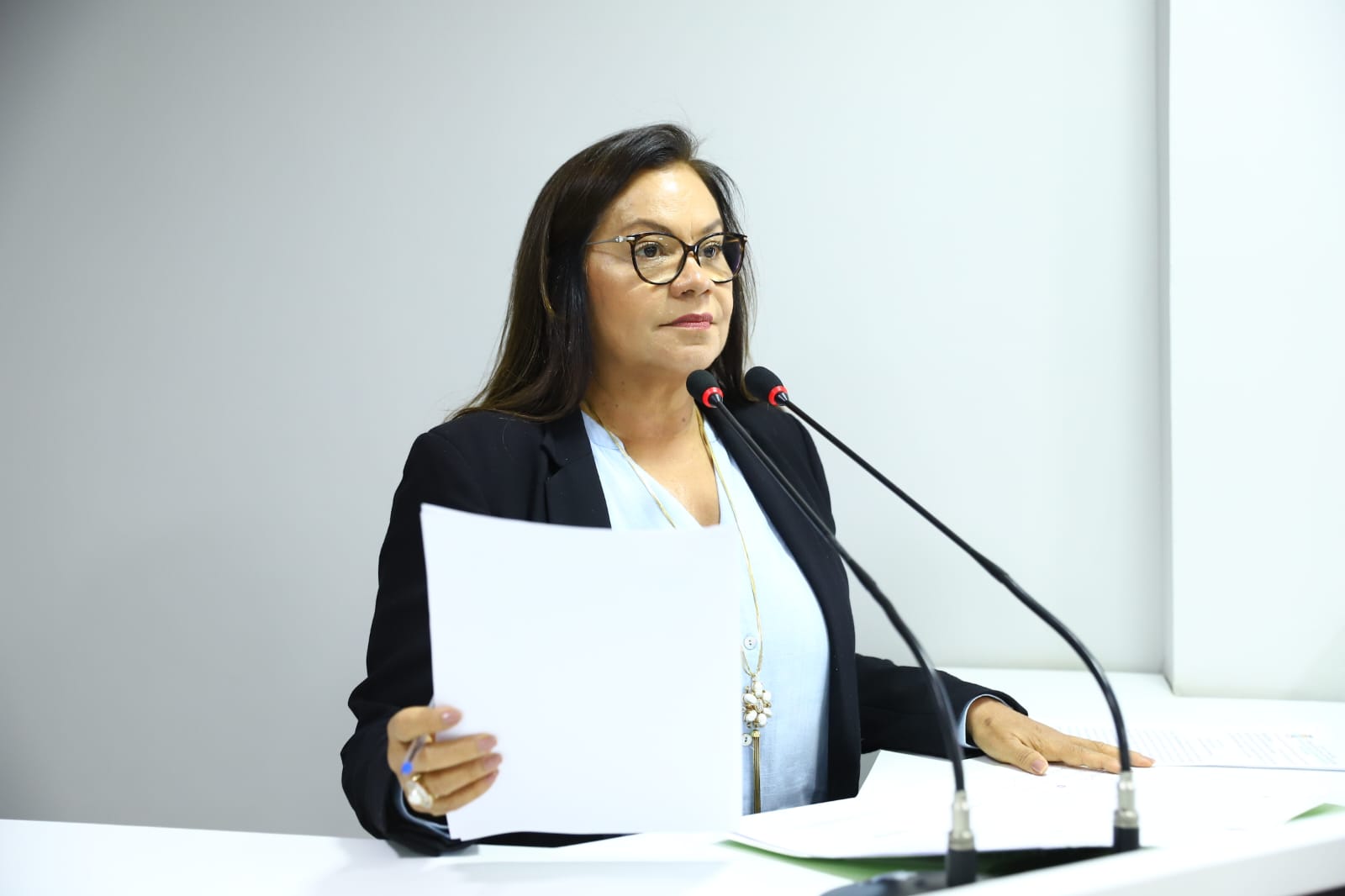 Márcia Baranda propõe implantação do Programa de Auxílio ao Pescador Artesanal em Parintins