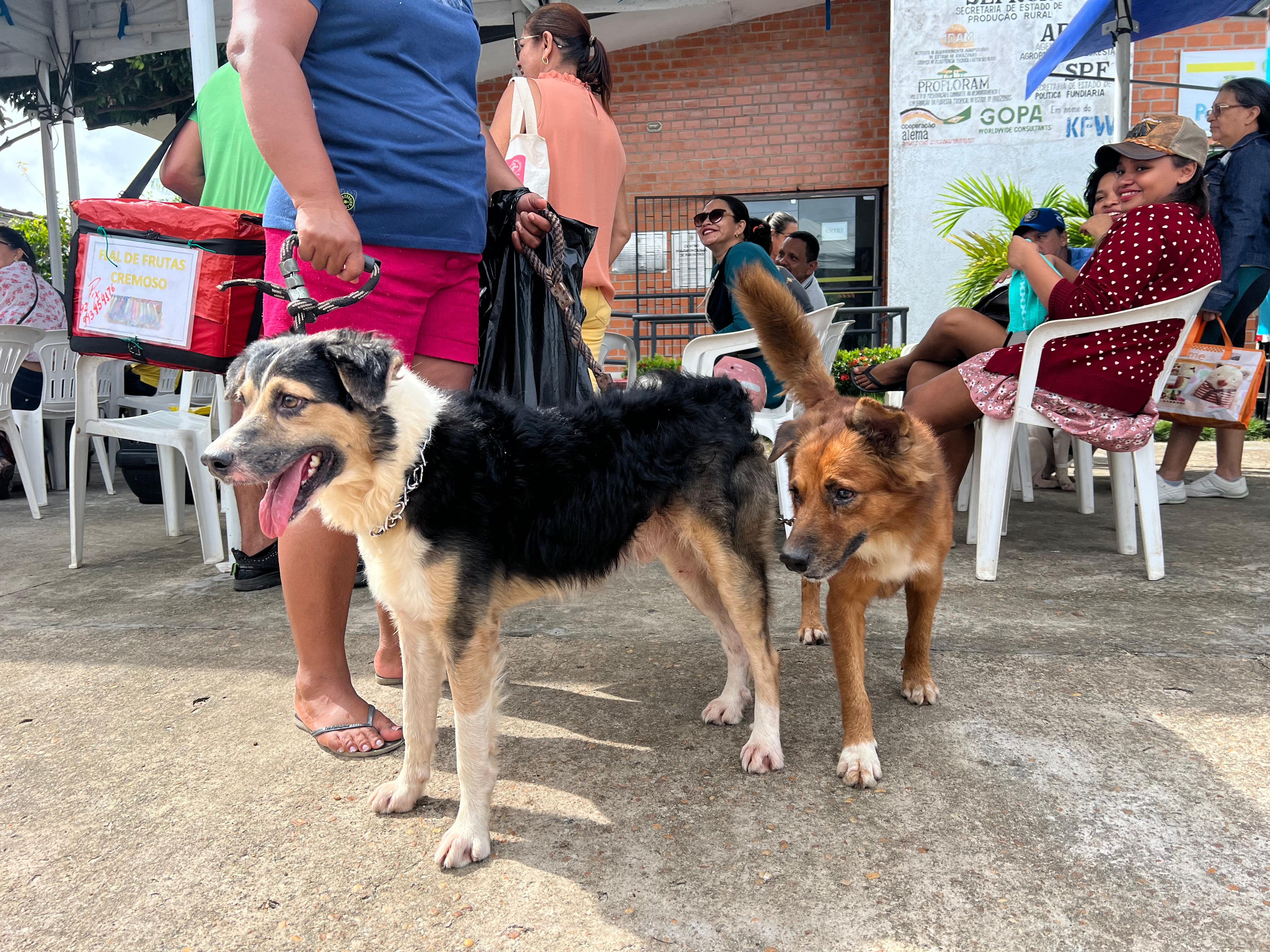 Vereador Alex Garcia tem lei sancionada instituindo a Semana Municipal de Proteção Animal em Parintins