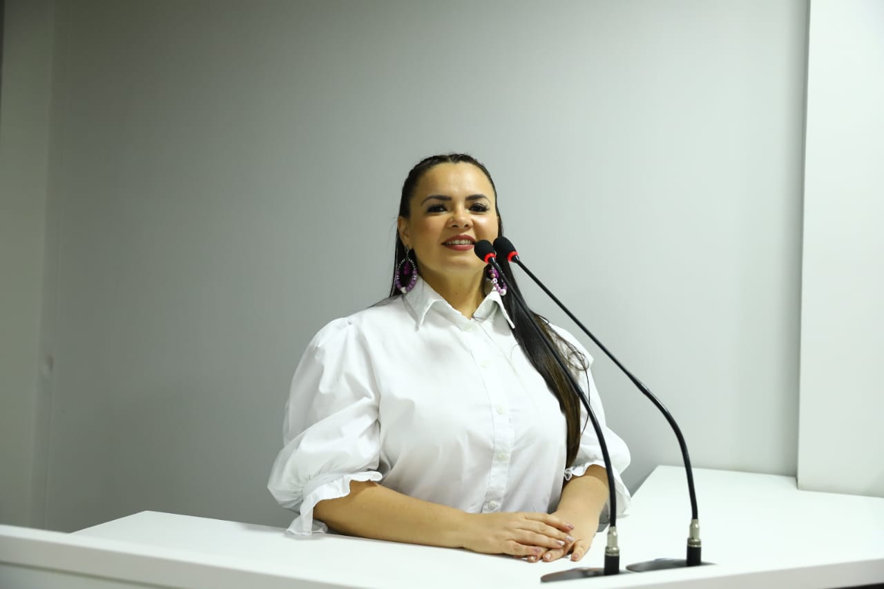 Vereadora Vanessa Gonçalves apresenta PL de incentivo ao empreendedorismo feminino